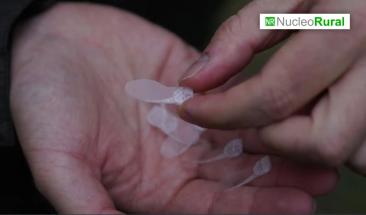 &ldquo;Semillas rob&oacute;ticas&rdquo; transforman la agricultura