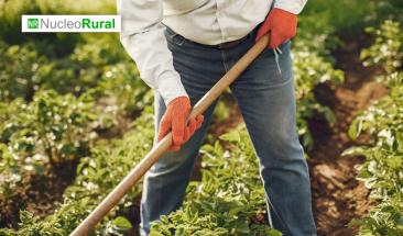 Desastres medioambientales causan grandes p&eacute;rdidas a la agricultura