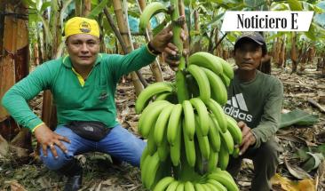 Produce destina m&aacute;s de S/38 millones para fortalecer cadenas productivas de 12 regiones con innovaci&oacute;n y transferencia tecnol&oacute;gica