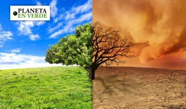 COP28: Per&uacute; e Italia suscribieron un memorando en beneficio de la acci&oacute;n clim&aacute;tica