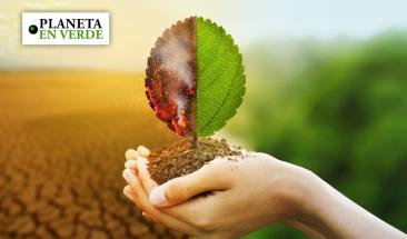 COP28: acuerdo 'hist&oacute;rico' para abandonar los combustibles f&oacute;siles