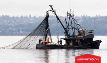 Produce autoriza pesca exploratoria de anchoveta en la zona sur del pa&iacute;s por un periodo de diez d&iacute;as