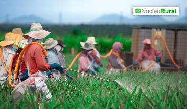 Agricultores en Berl&iacute;n descontentos por medidas gubernamentales