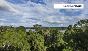 Serfor y Foro de las Naciones Unidas sobre Bosques buscan desarrollar una estrategia de financiamiento forestal