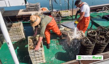 Per&uacute;: hoy jueves 21 inici&oacute; el cobro del nuevo Bono del Pescador Artesanal de S/700