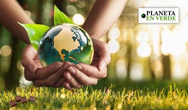 Estos son los eventos ambientales que se realizar&aacute;n en 2024