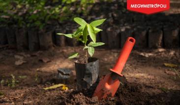 SERFOR realiz&oacute; talleres sobre la normatividad del sector forestal para productores y autoridades de Pasco, Cajamarca y Ucayali