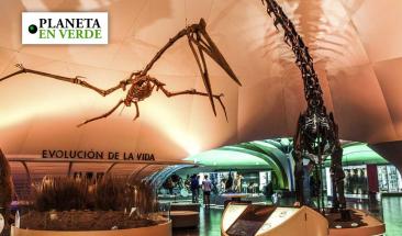 El Museo de Historia Natural en CDMX inaugura salas sobre cultura ambiental