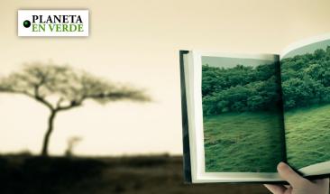 Los desastres medioambientales m&aacute;s devastadores del 2023