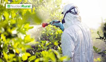 El abuso de pesticidas conlleva da&ntilde;os para el medio ambiente y la salud