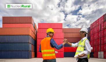 Exportaciones peruanas presentan una s&oacute;lida recuperaci&oacute;n