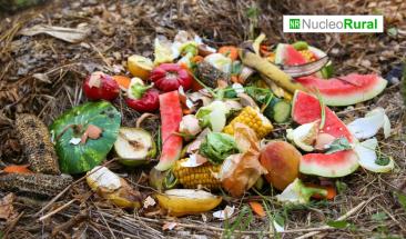 Los retos de mitigar el desperdicio de alimentos en Am&eacute;rica Latina