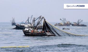 Segunda temporada de pesca de anchoveta y anchoveta blanca culmina ma&ntilde;ana, s&aacute;bado 13 de enero