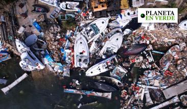 Persiste la crisis ambiental en Acapulco a 80 d&iacute;as del hurac&aacute;n Otis