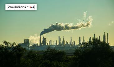 Reforestaci&oacute;n:  desaf&iacute;os y alternativas ambientales para el futuro sostenible