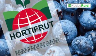 Hortifrut es distinguido con la Huella de Carbono Per&uacute;