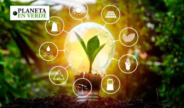 Energ&iacute;as renovables superar&aacute;n al carb&oacute;n en 2025 seg&uacute;n la AIE