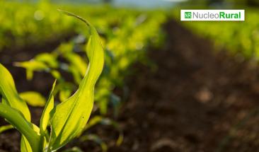 Crean dispositivo para reutilizar nutrientes en la agricultura