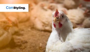 Pollo: una alternativa ligera y nutritiva para consumir en verano