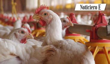 Pollo: una alternativa ligera y nutritiva para consumir en verano