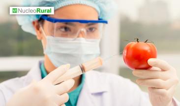 Los alimentos transg&eacute;nicos tambi&eacute;n benefician al medio ambiente