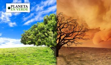 Imparable marcha del tiempo: el cambio clim&aacute;tico se manifiesta con mayor intensidad