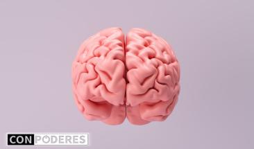Impresi&oacute;n en 3D de tejido cerebral funcional abre nuevas puertas a la investigaci&oacute;n neurol&oacute;gica