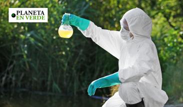 Biorremediaci&oacute;n: una estrategia natural contra la contaminaci&oacute;n