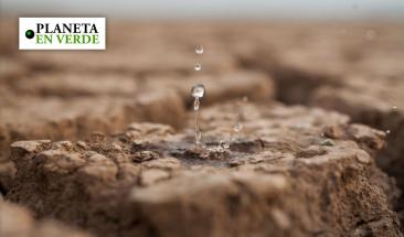 Crisis h&iacute;drica en M&eacute;xico: sistema de Cutzamala se encuentra al 38.7% de su capacidad