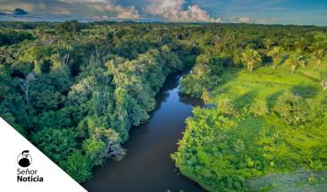 Estudio advierte un inminente colapso en la Amazonia para 2050