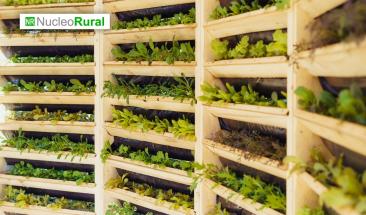 &iquest;Es realmente la agricultura urbana sostenible?