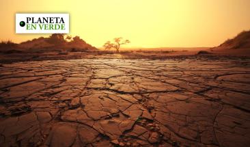 Emirato &Aacute;rabes Unidos busca hacer llover en el desierto