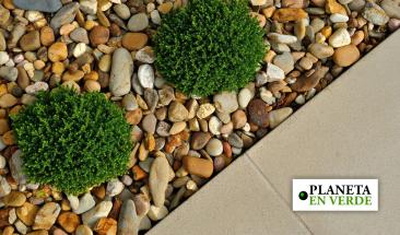 Explora los aspectos positivos para el medio ambiente al emplear grava en tu &aacute;rea verde