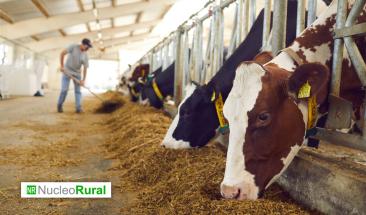 Canad&aacute; logra reducir 15% la emisi&oacute;n de GEI en la ganader&iacute;a