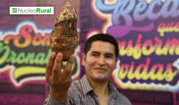 La pituca: el tub&eacute;rculo amaz&oacute;nico que conquista paladares y empodera agricultores