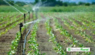 Logros significativos en la reactivaci&oacute;n del sector agrario peruano