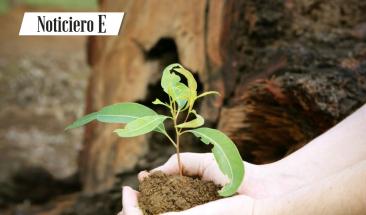 SERFOR trabaja junto a las comunidades nativas en la dinamizaci&oacute;n del mercado forestal de Jun&iacute;n y Pasco