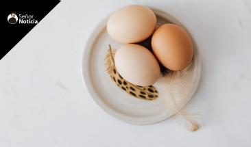 Huevo: cinco consejos esenciales para su consumo
