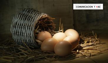 Huevo: cinco consejos esenciales para su consumo