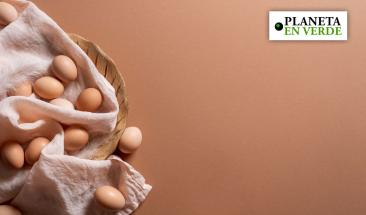 Huevo: cinco consejos esenciales para su consumo