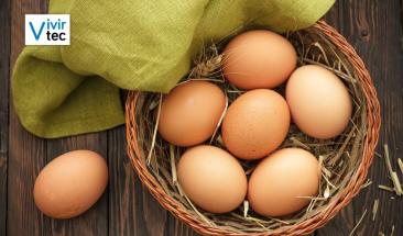 Huevo: cinco consejos esenciales para su consumo