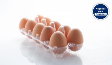 Huevo: cinco consejos esenciales para su consumo