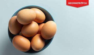 Huevo: cinco consejos esenciales para su consumo