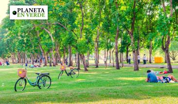 Influencia de espacios verdes en la salud mental