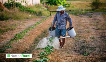 Agroindustria peruana: motor del desarrollo econ&oacute;mico y laboral