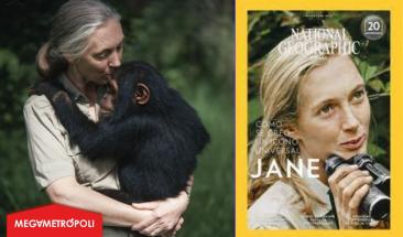 Jane Goodall: la incansable exploradora de la naturaleza y protectora de los chimpanc&eacute;s