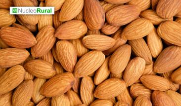 Alemania alerta sobre almendras con salmonela provenientes de Espa&ntilde;a