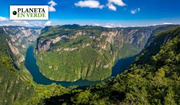 Posible desaparici&oacute;n de la Conabio, instituci&oacute;n de protecci&oacute;n ambiental, despierta preocupaci&oacute;n en M&eacute;xico