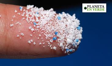 &iquest;Qu&eacute; cantidad de micro pl&aacute;sticos se ingieren al a&ntilde;o y c&oacute;mo afecta la salud?