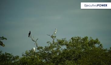 Ucayali concluye la zonificaci&oacute;n forestal de todo su territorio